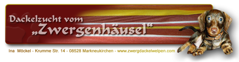 www.zwergdackelwelpen.com | Die Zwergdackelzucht aus Markneukirchen (Vogtland):.